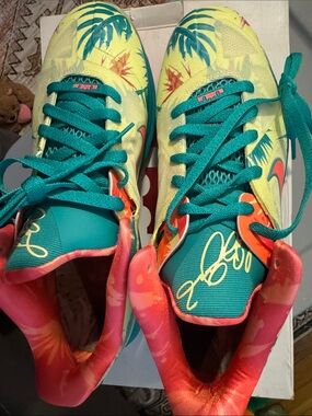 Nike LeBron 9 Low - LeBronald Palmer